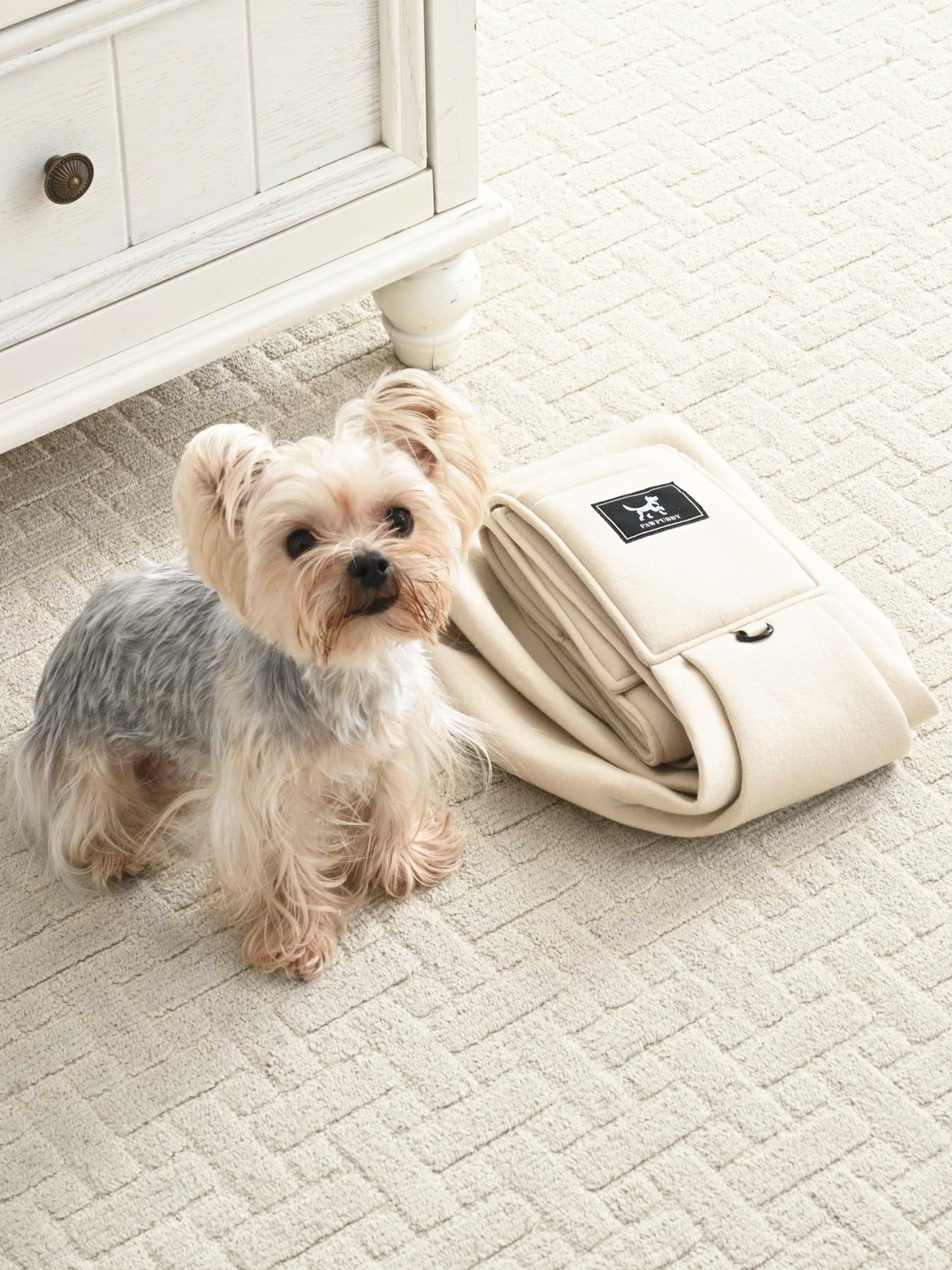 Pet Sling for Dogs & Cats