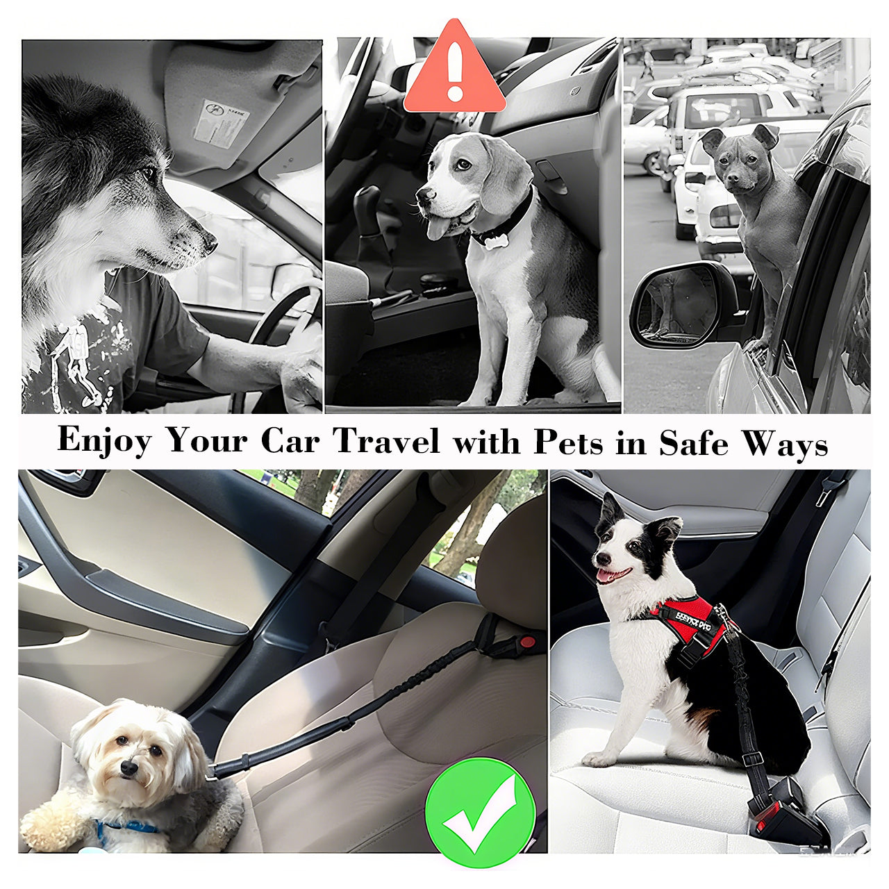 Pet Car Seat Belt Set
