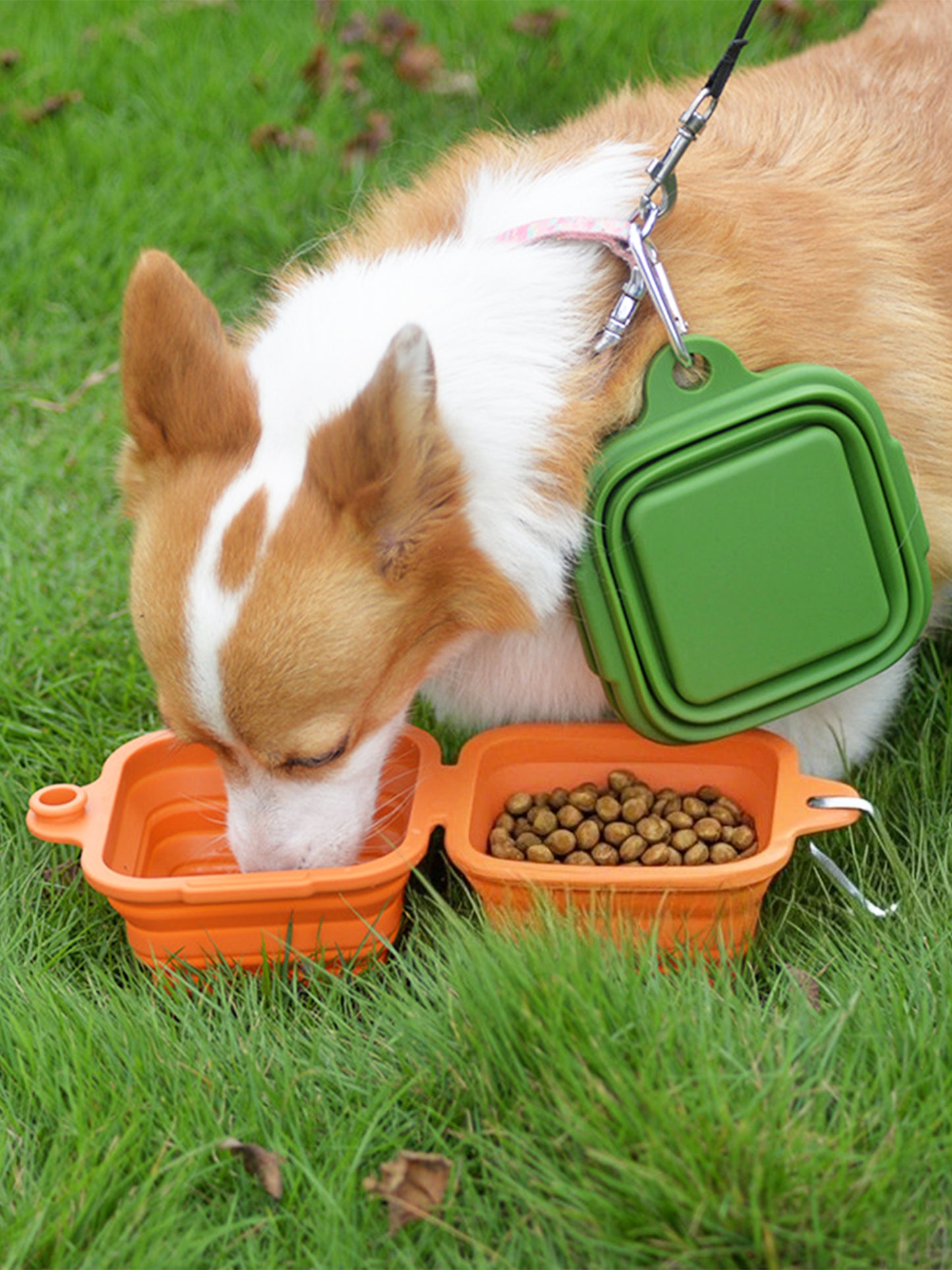Pet Food & Water Bowl