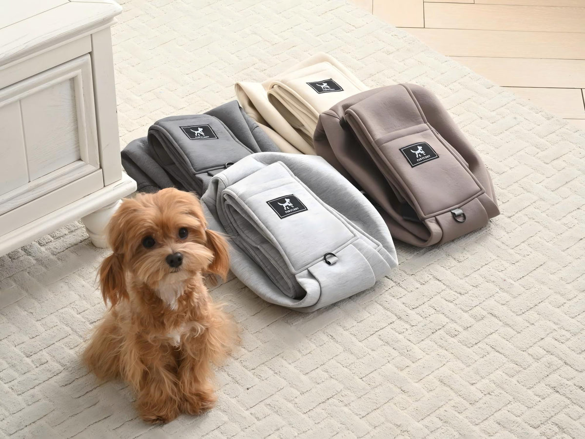 The Ultimate Guide to Buying a Pet Sling Bag for Small Dogs and Cats