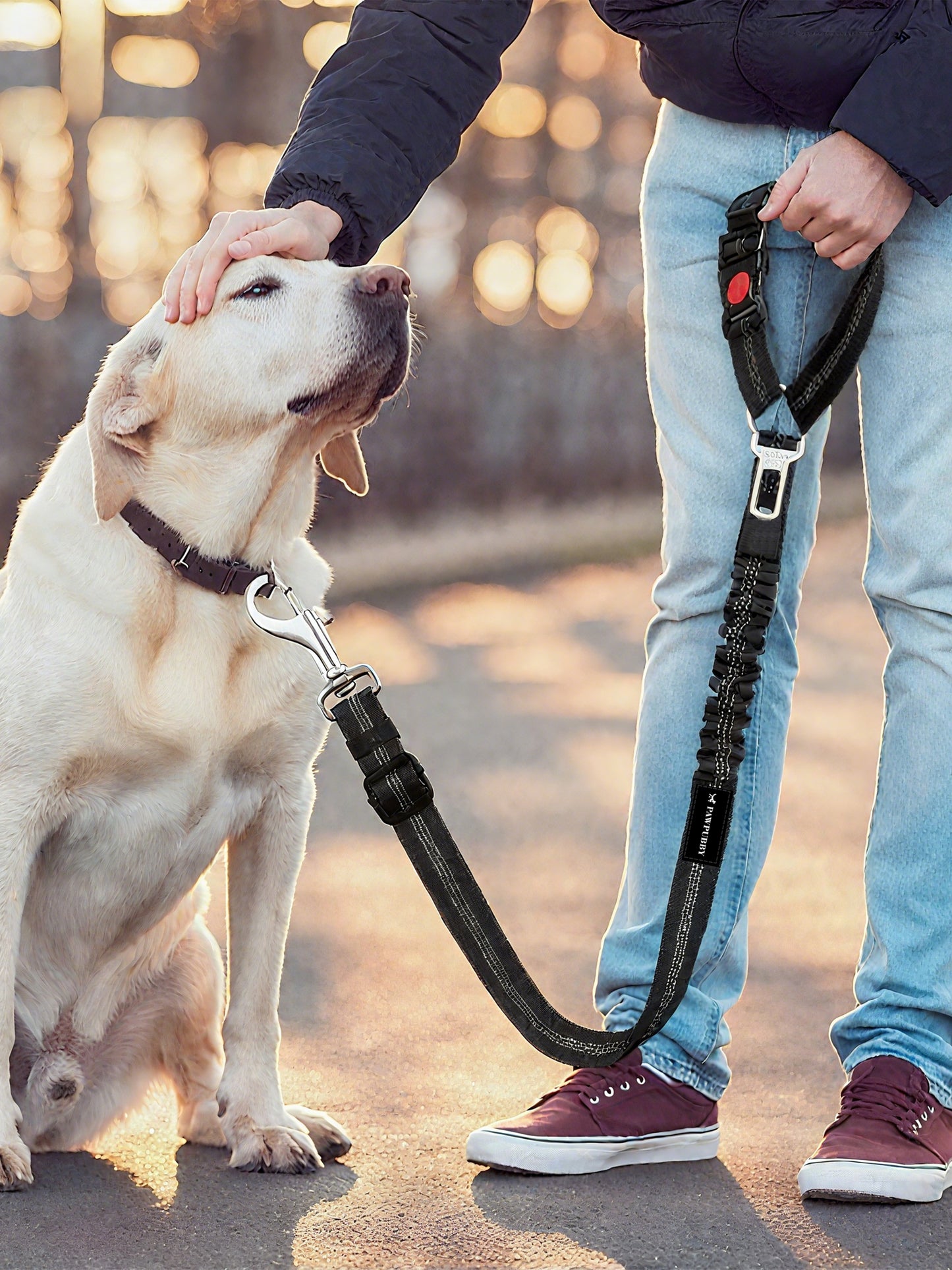 Pet Car Seat Belt Set