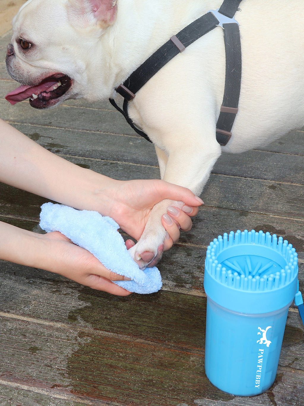 Silicone Gentle Paw Cleaner Brushes