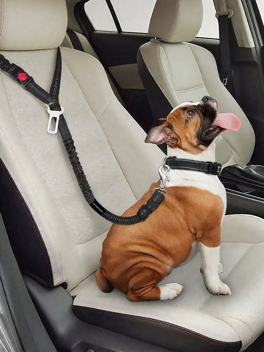 Pet Car Seat Belt Set