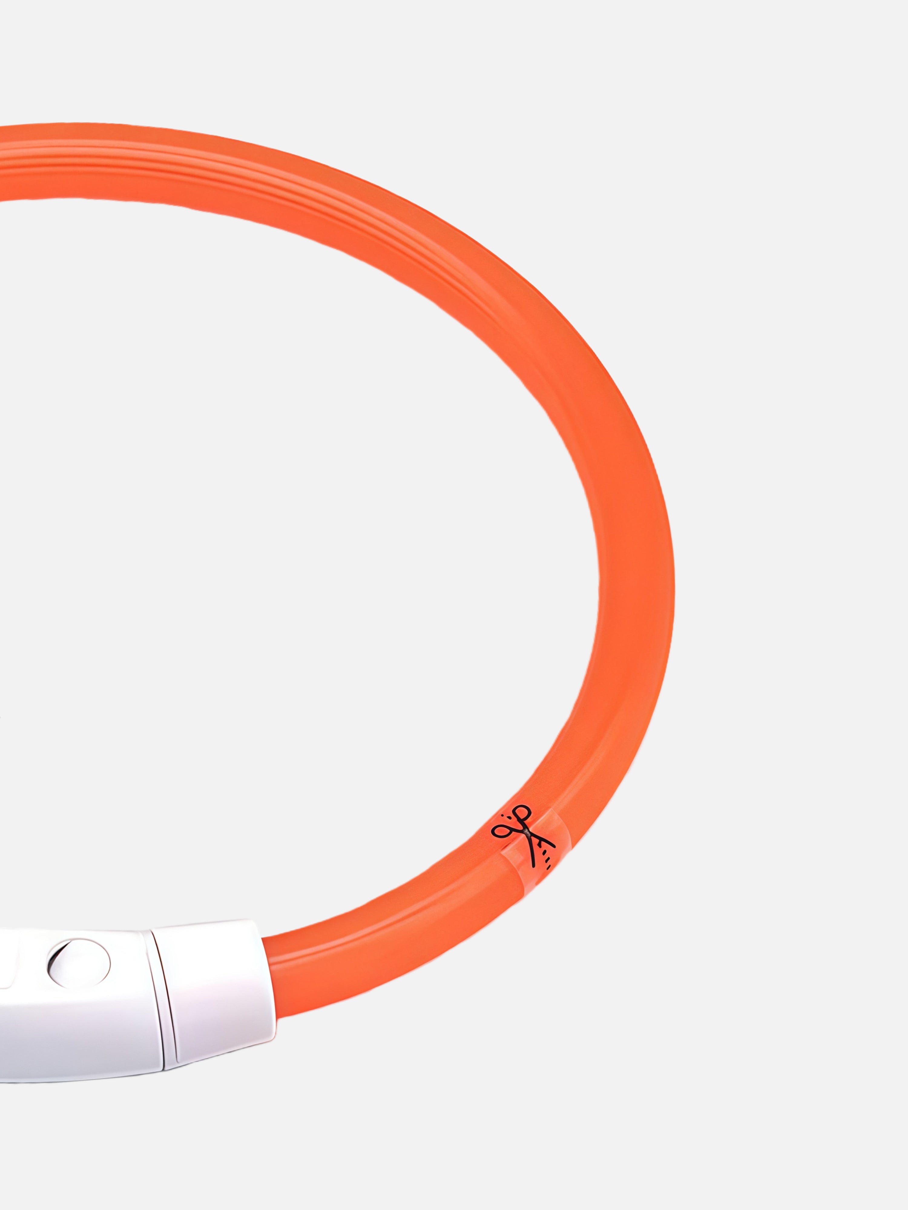 Glow Guard LED Dog Collar