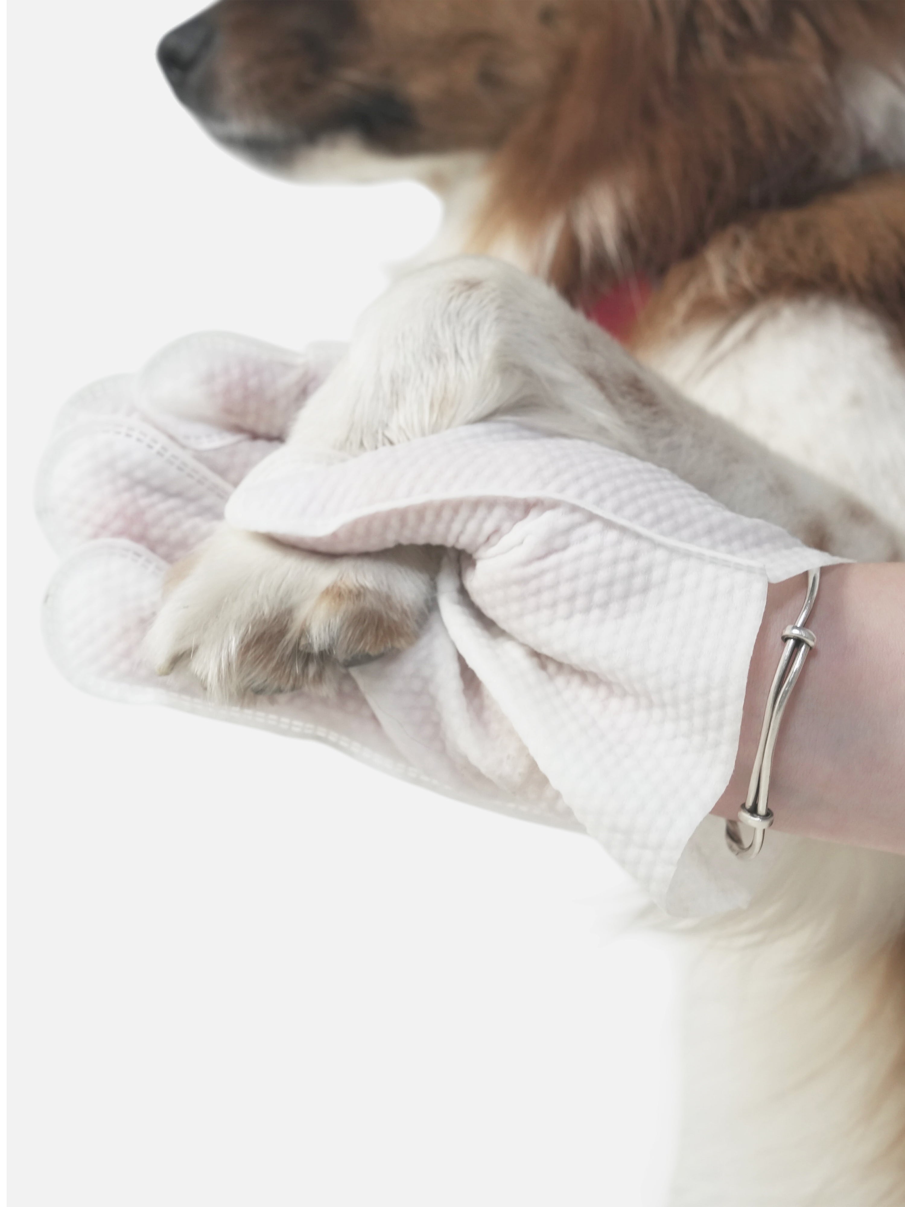 Dog Clean Gloves