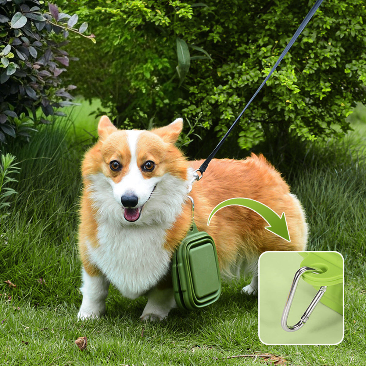 Pet Food & Water Bowl