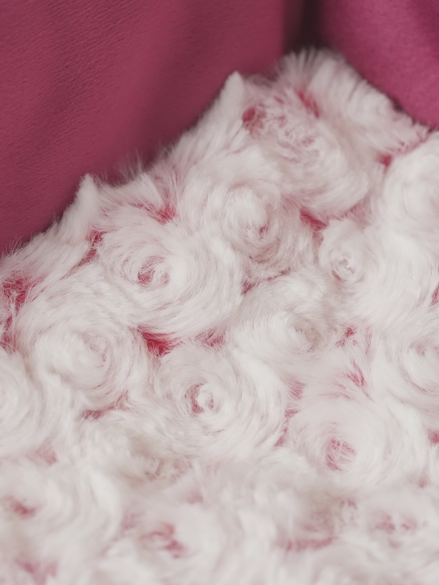 Orthopedic Dog Sofa Bed