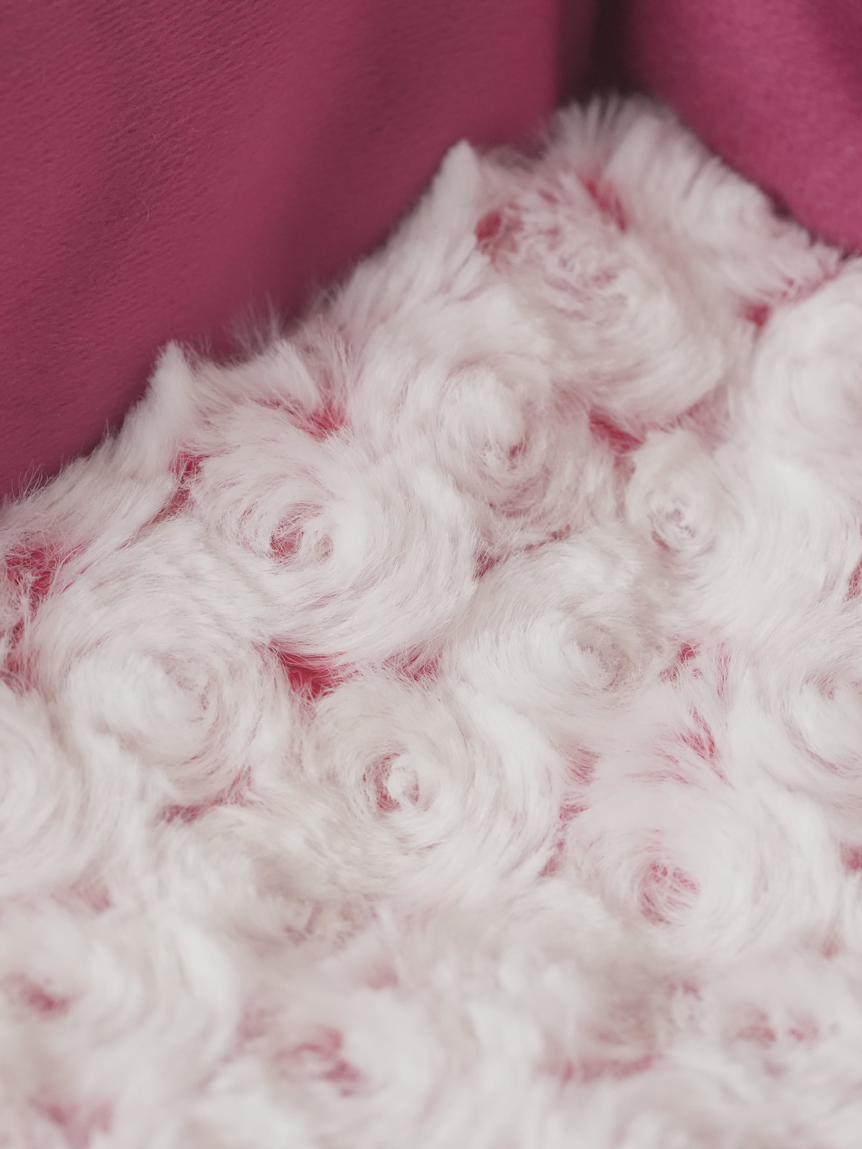 Orthopedic Dog Sofa Bed