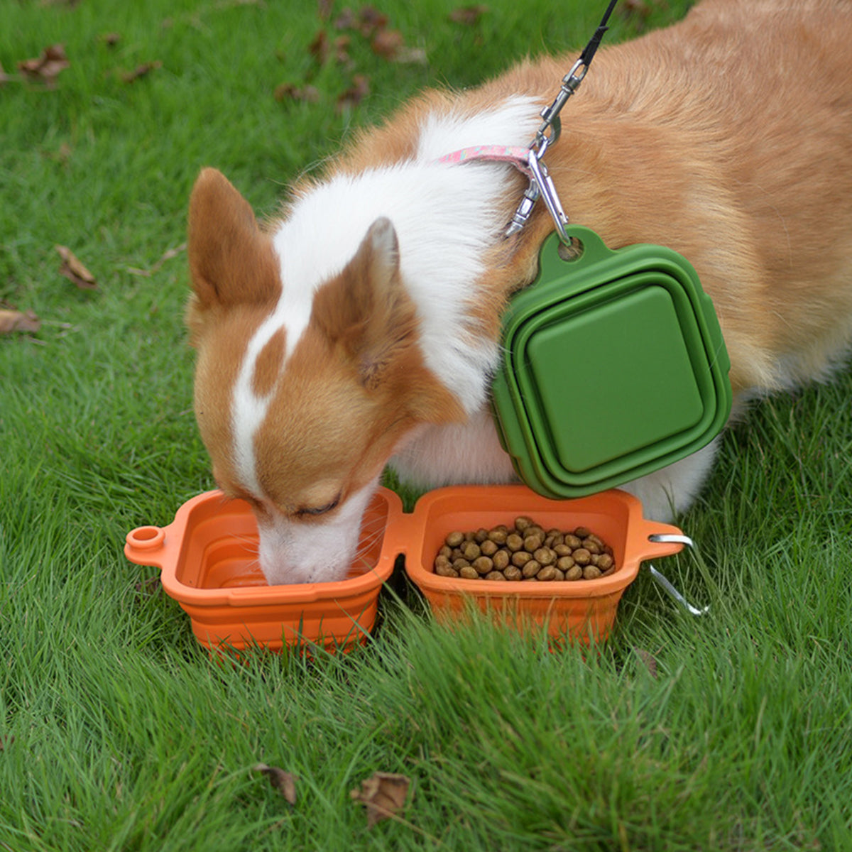 Pet Food & Water Bowl