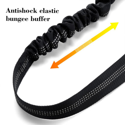 Pet Car Seat Belt Set