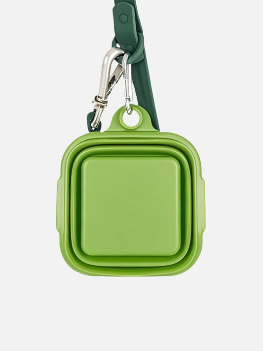 Pet Food & Water Bowl