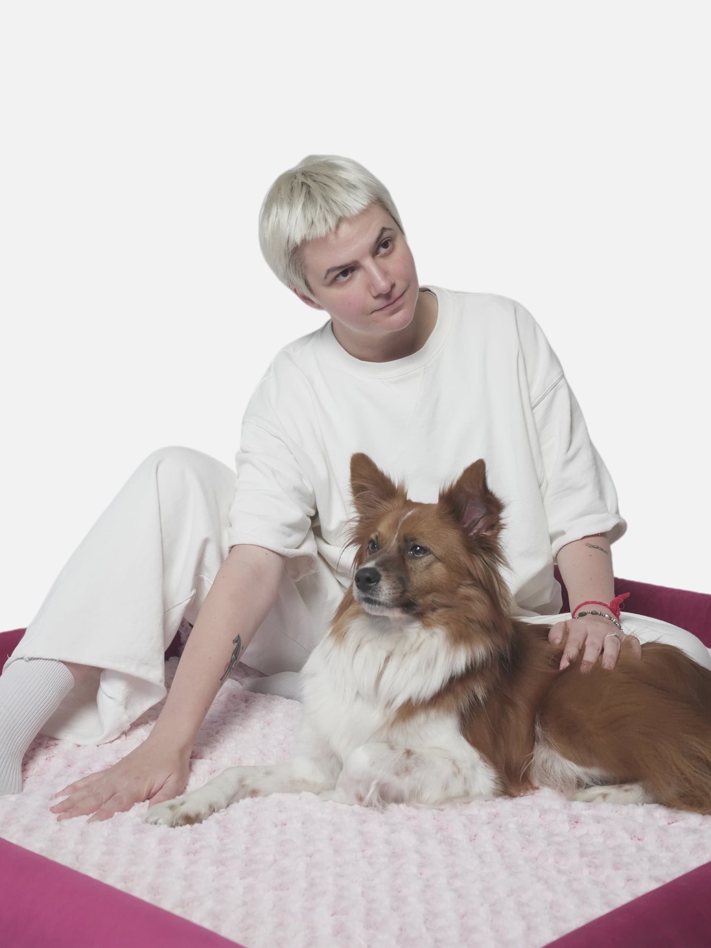 Orthopedic Dog Sofa Bed