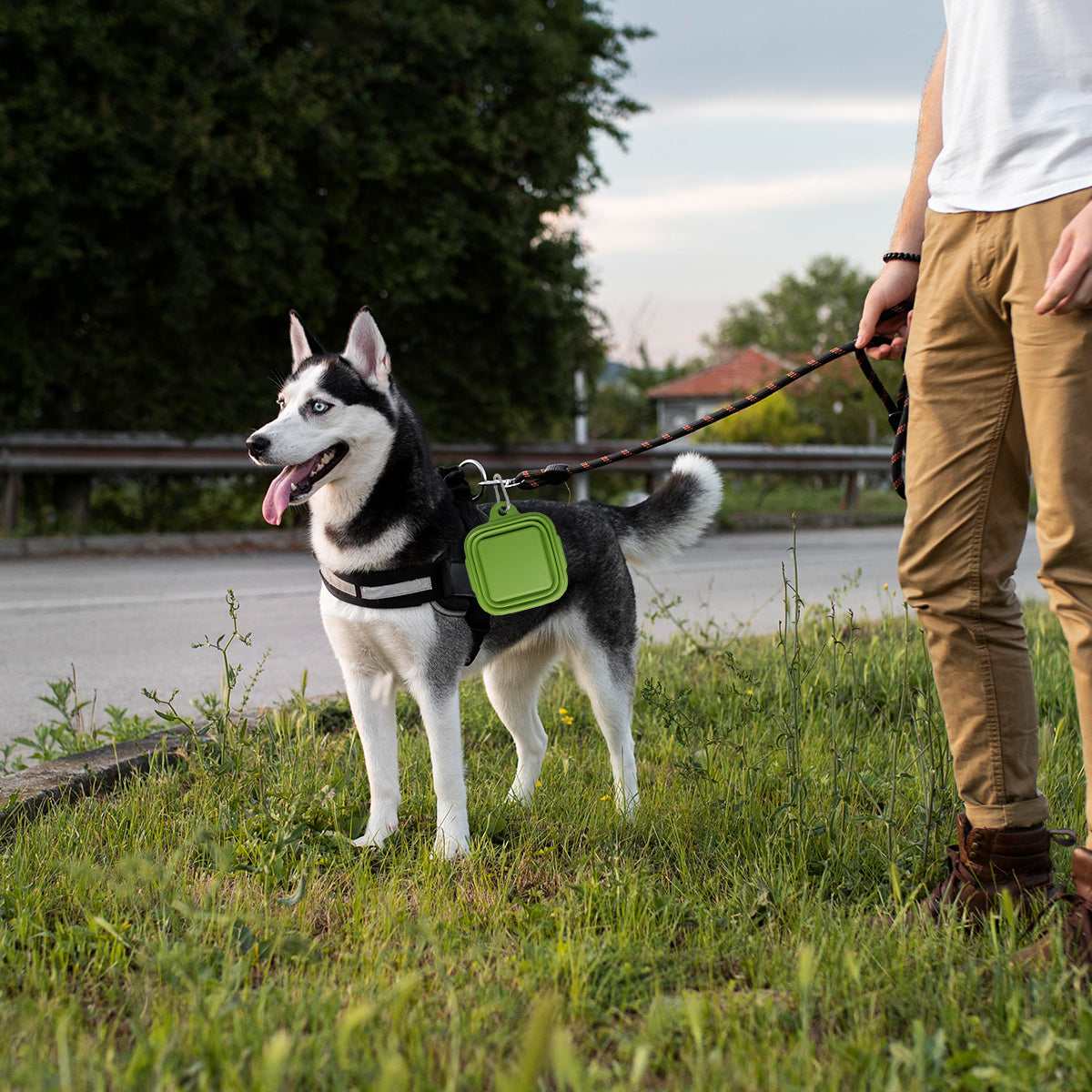 Pet Food & Water Bowl