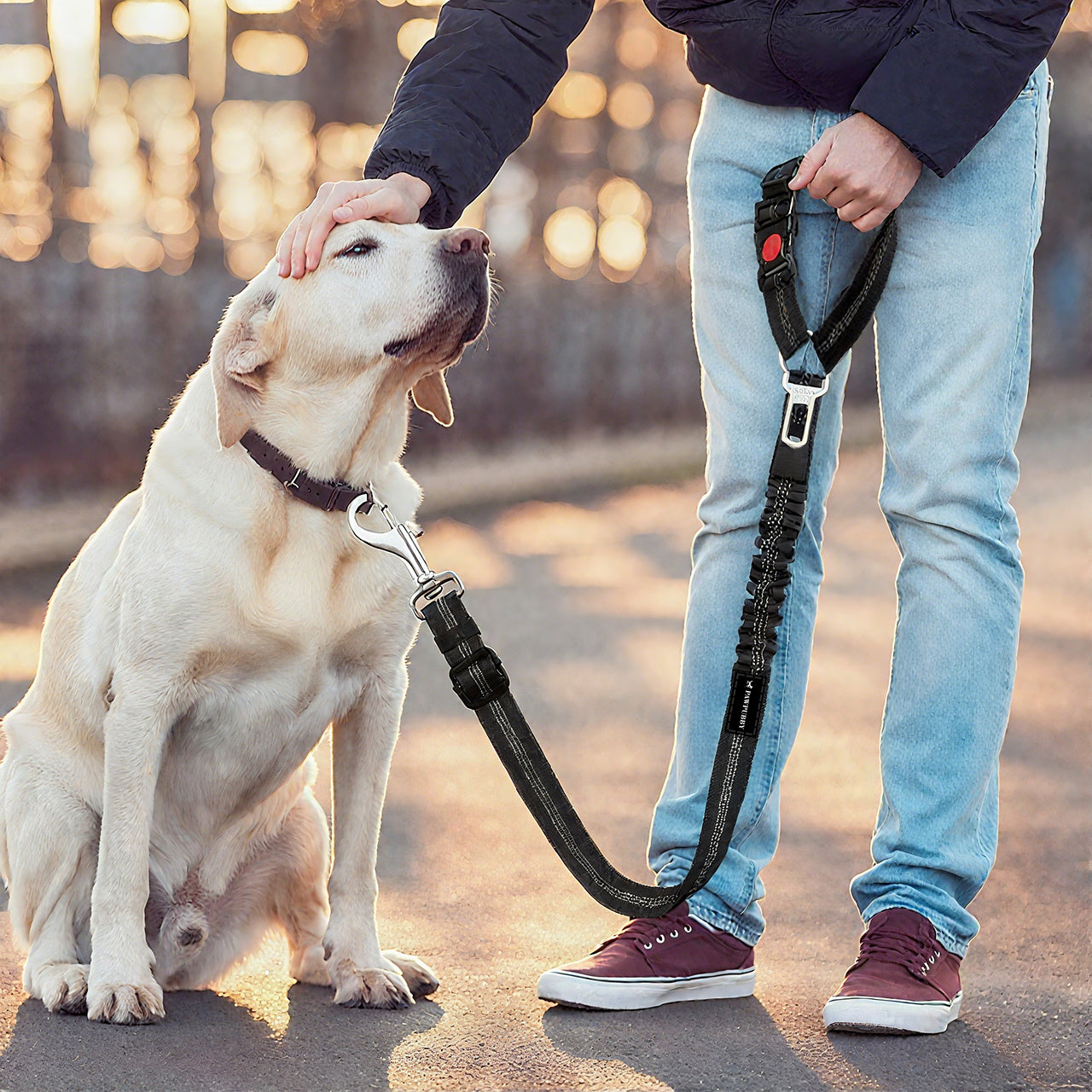 Pet Car Seat Belt Set