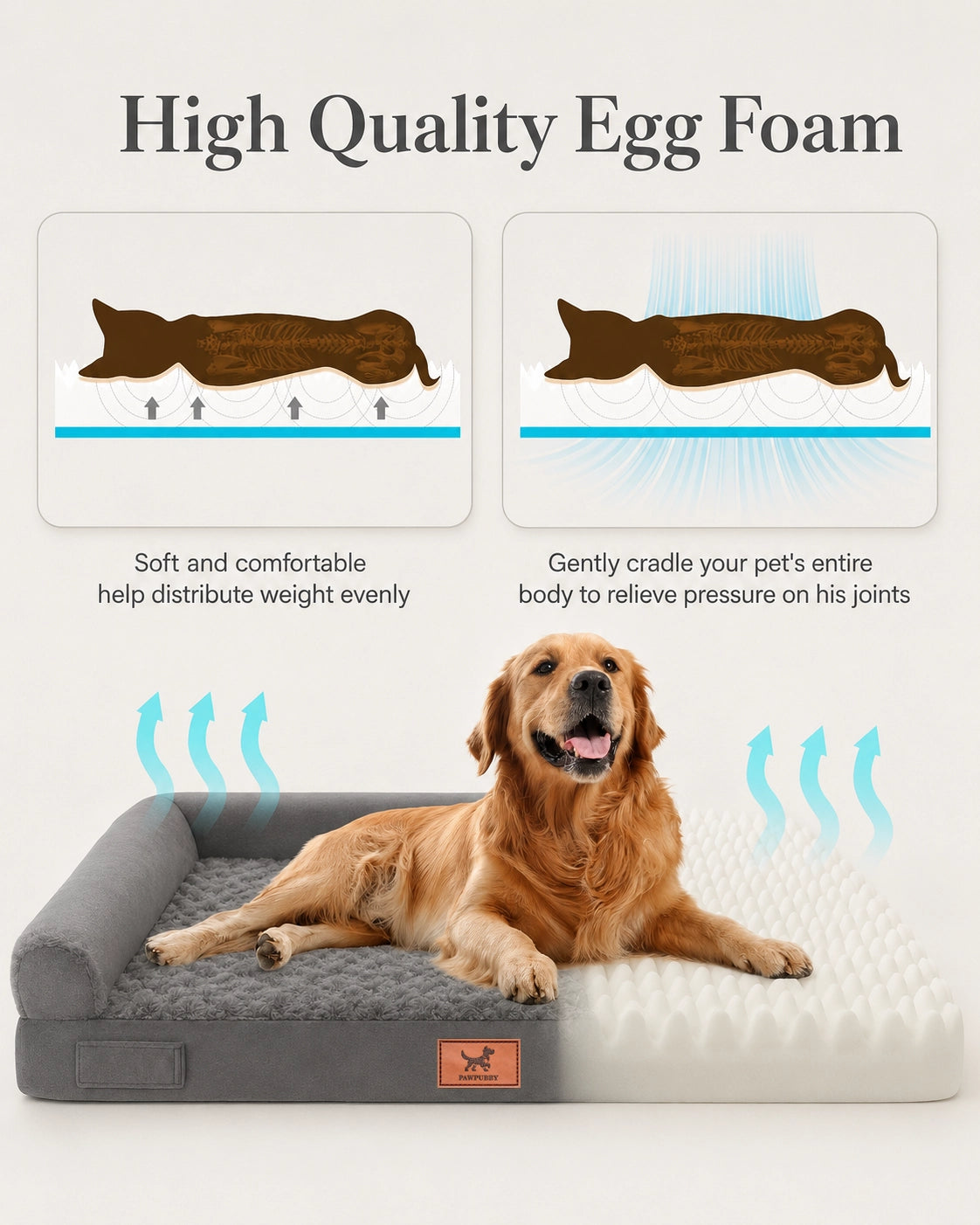 Orthopedic Dog Sofa Bed