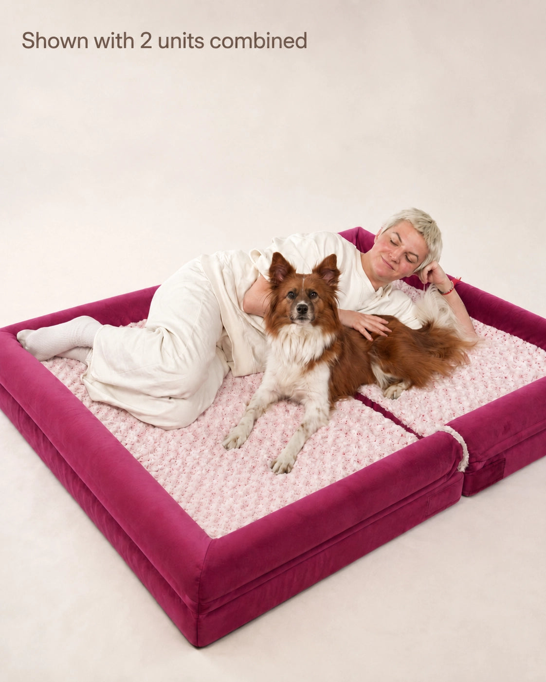 Orthopedic Dog Sofa Bed